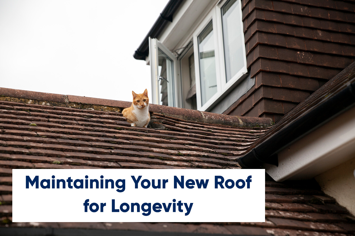 Redoing Roof in 3 Easy Steps - States Roofing & Exterior